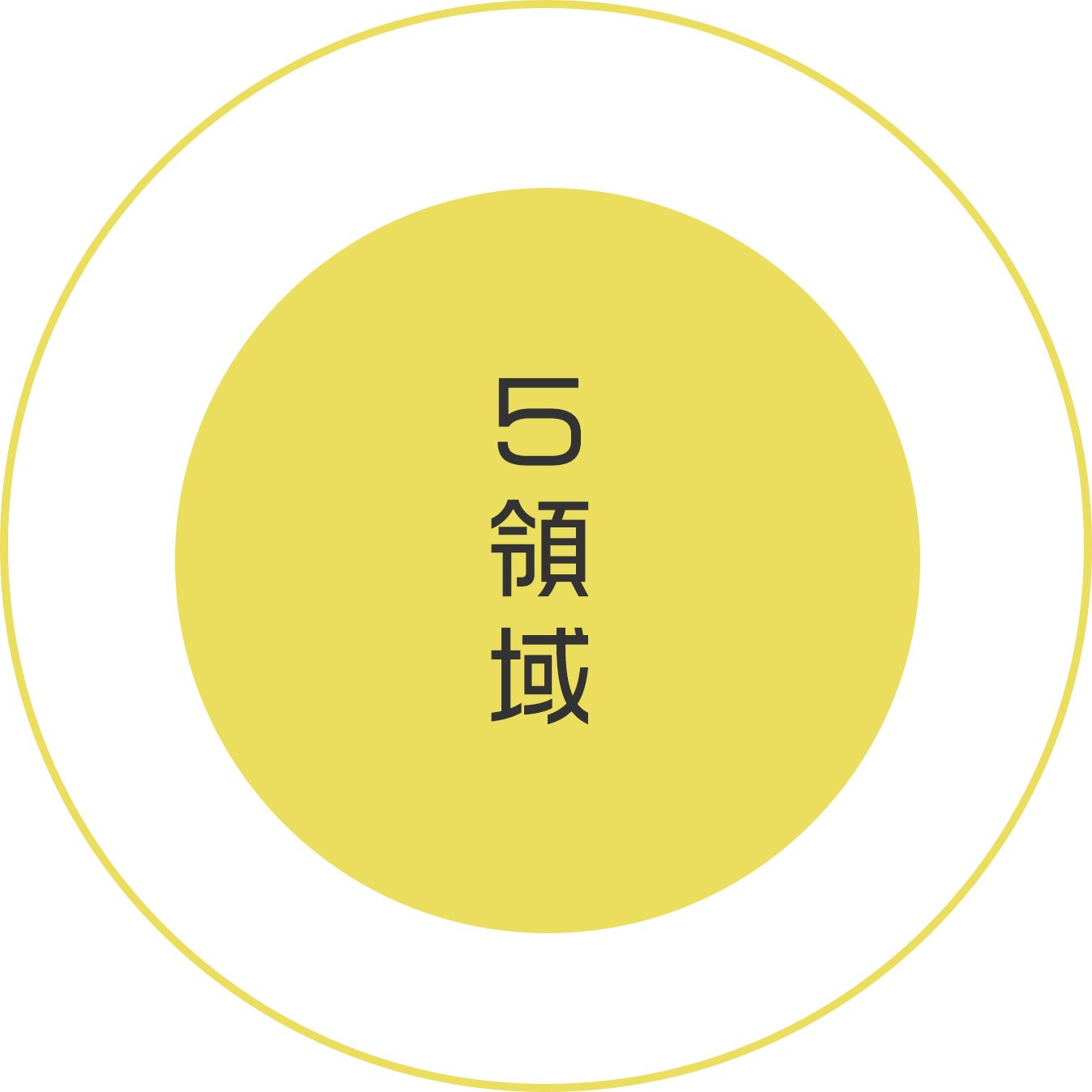 5領域